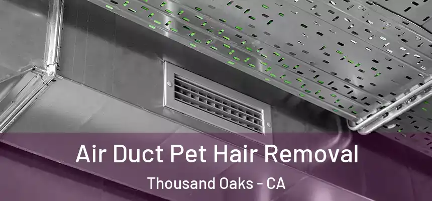 Air Duct Pet Hair Removal Thousand Oaks - CA