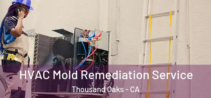  HVAC Mold Remediation Service Thousand Oaks - CA