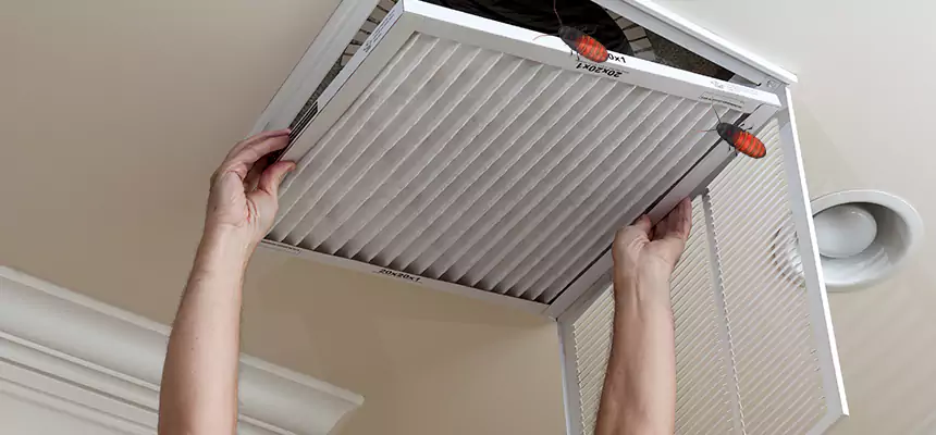 Preventive Cockroach-Proofing for Ducts in Thousand Oaks