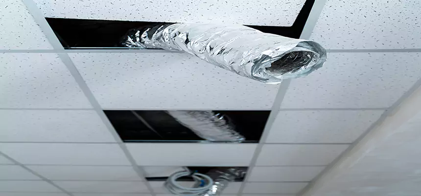 Affordable HVAC Sanitizing After Pest Removal in Thousand Oaks