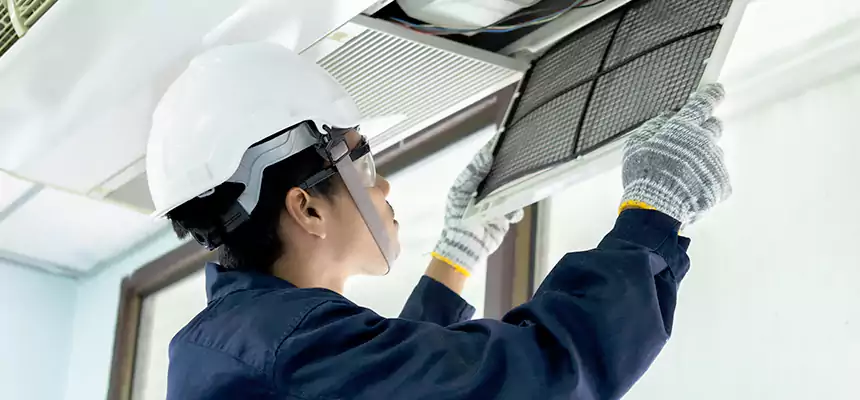 Our Mold & Mildew Removal from Air Ducts Services in Thousand Oaks, CA