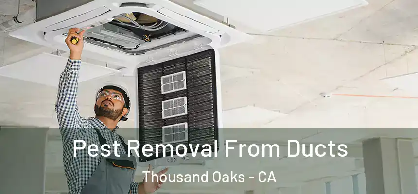  Pest Removal From Ducts Thousand Oaks - CA