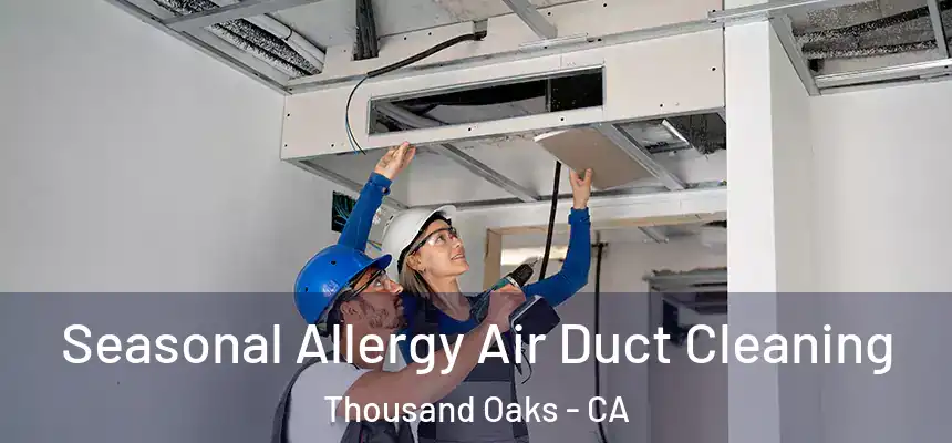 Seasonal Allergy Air Duct Cleaning Thousand Oaks - CA