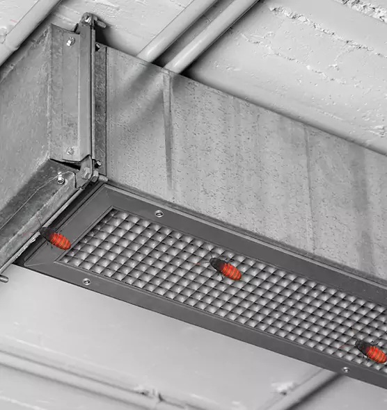 About Air Duct Cockroach Removal in Thousand Oaks, CA