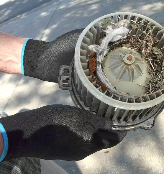 About Air Duct Mice Removal in Thousand Oaks, CA