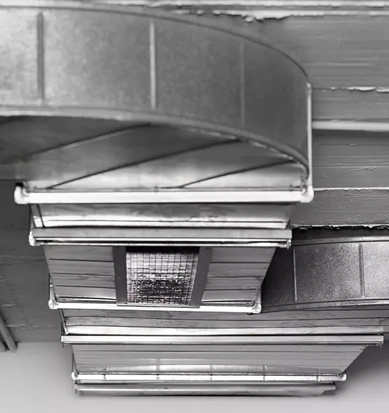 Professional Air Duct Pest Removal in Thousand Oaks, CA