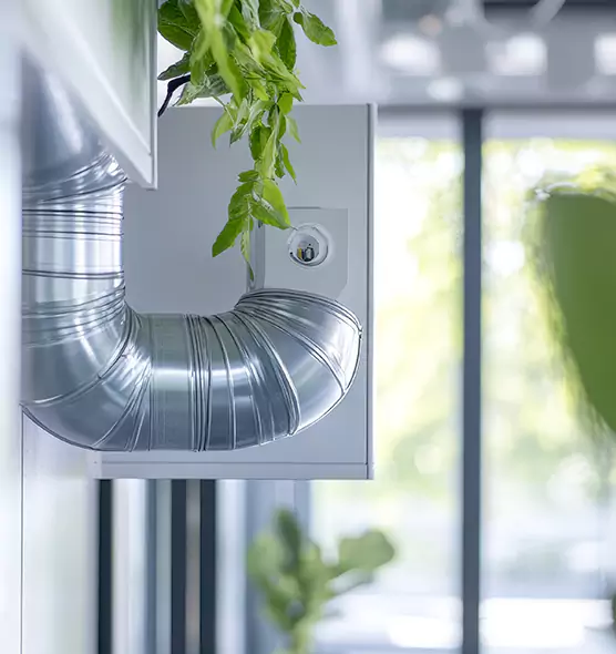 Professional Eco-Friendly Duct Cleaning Services in Thousand Oaks, CA