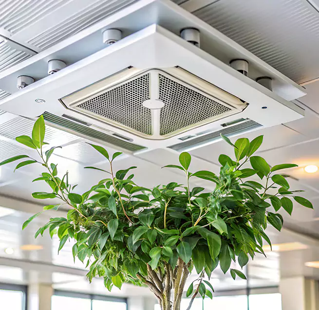 Why Homeowners & Businesses Trust Us in Thousand Oaks, CA