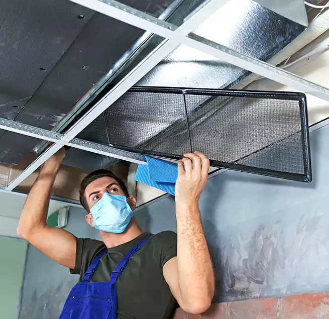 Why Homeowners Businesses Trust Us in Thousand Oaks, CA